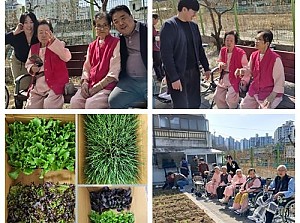 2025년 3월 인지프로그램