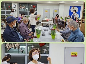 원예교실 - 국화 화분