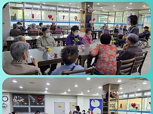 원예 프로그램 - 카네이션 화분