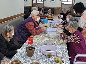 원예프로그램-입춘맞이