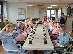 원예프로그램 - 비누꽃카네이션 꽃꽂이